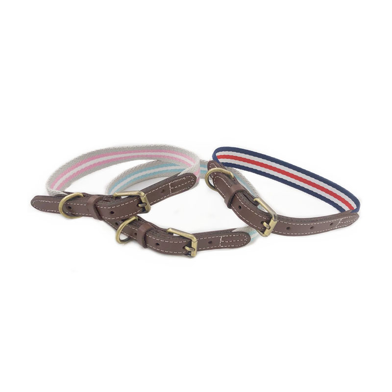 Collare per cani regolabile in pelle PU
