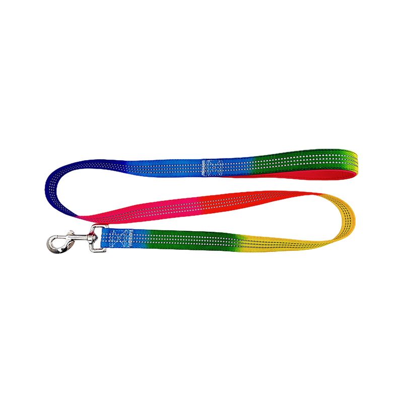 Guinzaglio per cani con anello a D, guinzaglio, corda in nylon per canile
