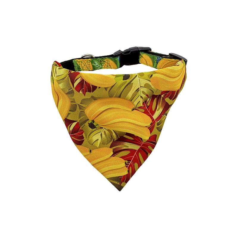 Bandana per collare per cani e set elasticizzato abbinato regolabile